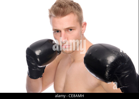 Full isolated studio picture from a young boxer Stock Photo