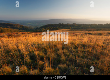 View from Selworthy Beacon towards Dunkery Beacon. Holnicote Estate. Exmoor National Park. Somerset. England. UK.