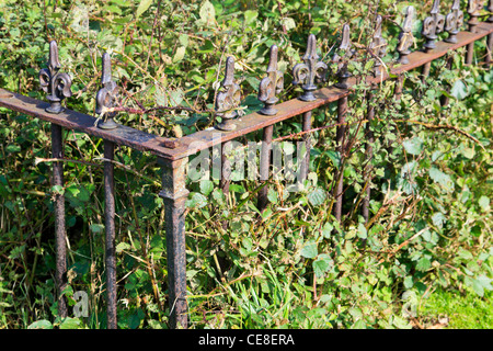 Railings around grave, neglected and overgrown. Stock Photo