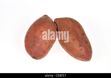 Sweet potatoes yams uncooked raw with skin on white background cutout USA Stock Photo