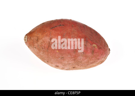 Single uncooked raw sweet potato  yam with skin on white background cutout USA Stock Photo