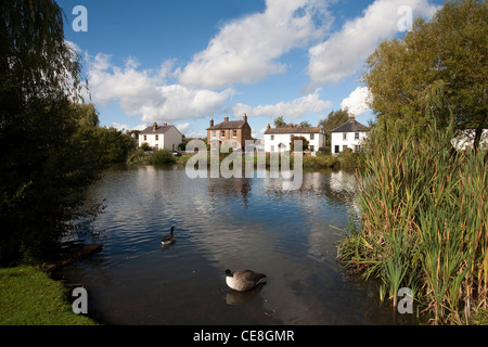 View across West End Park pond to village cottages in West End Esher, Elmbridge, Surrey KT10, England, UK. Photo:Jeff Gilbert Stock Photo