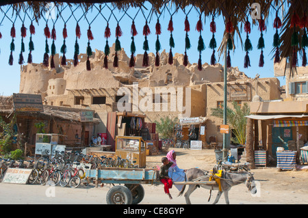 Ruins of the mudbrick town of Shali, seen through a coffee shop window in Siwa, an oasis town in the Libyan Desert Stock Photo