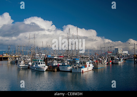 The small fishing port of French Creek on Vancouver Island, British Columbia. Canada.  SCO 7897 Stock Photo