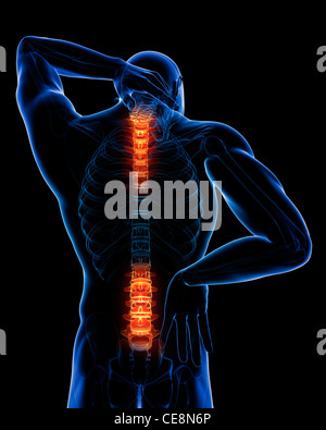 Lower body hi-res stock photography and images - Alamy
