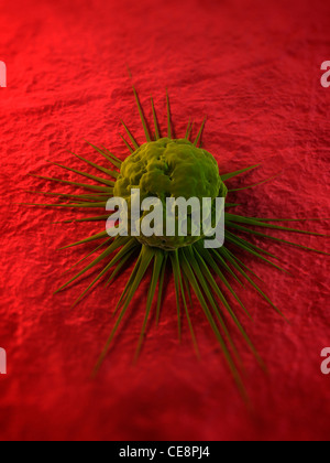 Cancer cell, computer artwork. The uneven surface and cytoplasmic projections are characteristic of cancer cells. Stock Photo