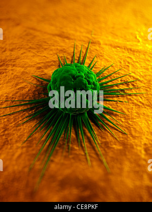 Cancer cell, computer artwork. The uneven surface and cytoplasmic projections are characteristic of cancer cells. Stock Photo