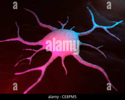 Cancer cell, conceptual computer artwork. The uneven surface and cytoplasmic projections are characteristic of cancer cells. Stock Photo