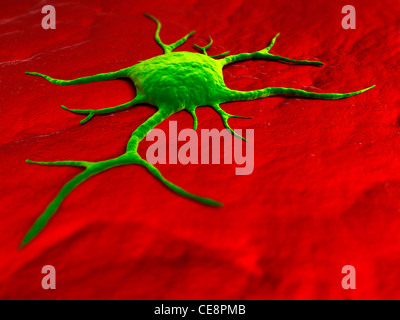 Cancer cell, conceptual computer artwork. The uneven surface and cytoplasmic projections are characteristic of cancer cells. Stock Photo