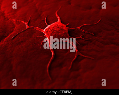 Cancer cell, conceptual computer artwork. The uneven surface and cytoplasmic projections are characteristic of cancer cells. Stock Photo