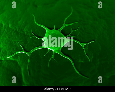 Cancer cell, conceptual computer artwork. The uneven surface and cytoplasmic projections are characteristic of cancer cells. Stock Photo