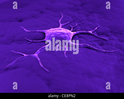 Cancer cell, conceptual computer artwork. The uneven surface and cytoplasmic projections are characteristic of cancer cells. Stock Photo