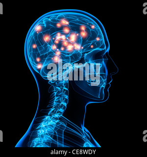 Brain activity, computer artwork. Stock Photo