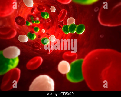 Green bacteria group in the blood under microscope Stock Photo - Alamy