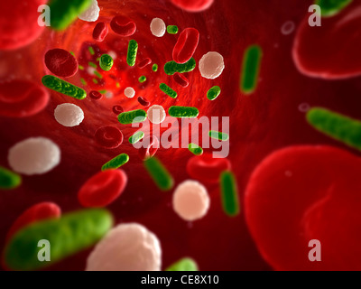 Green bacteria group in the blood under microscope Stock Photo - Alamy