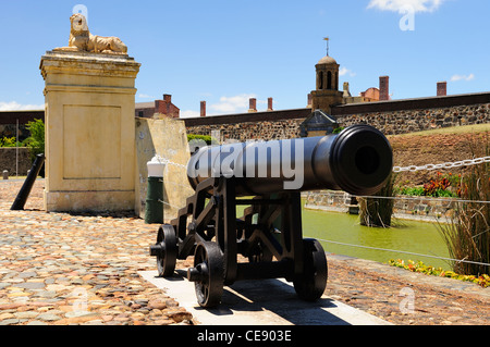 Canon at entrance to Castle of Good Hope in Cape Town, Western Cape, South Africa Stock Photo
