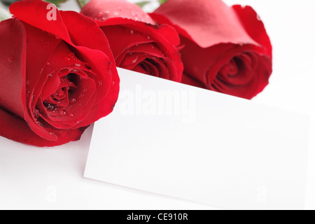 roses with empty card Stock Photo