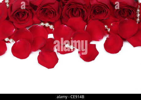 Red rose with petals isolated on white Stock Photo