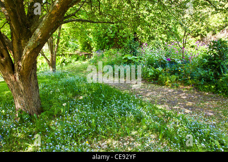 A garden path through dappled sunshine in an English country garden in early summer. Stock Photo