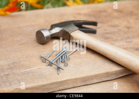 USA, Illinois, Metamora, Hammer and nails on wood Stock Photo