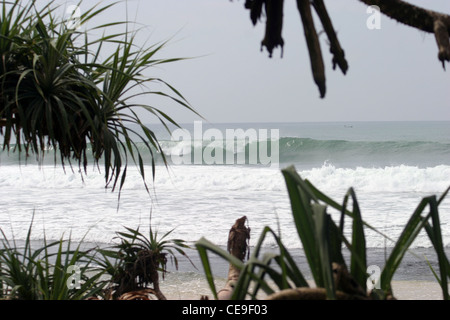 An empty wave in the Matara Area in South West Sri Lanka. Stock Photo