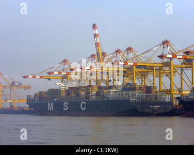 container ship MSC Laurence Stock Photo
