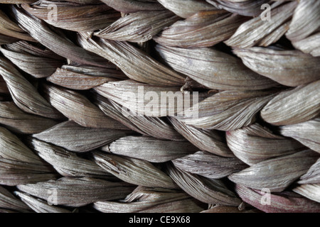 full frame abstract background of braided natural filament Stock Photo