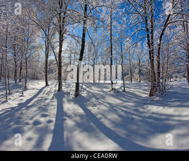 DE - BAVARIA: Winter Wonderland near Bad Toelz Stock Photo