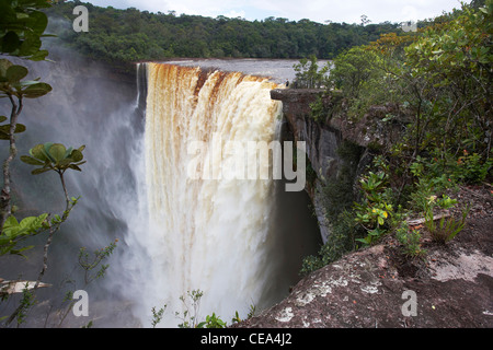 Kaieteur Falls, Potaro River, Guyana, South America, reputedly the world's largest single-drop waterfall. Stock Photo