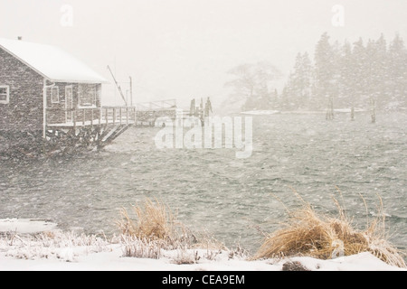 Summer Cottage in Bass Harbor during heavy snowstorm. Stock Photo