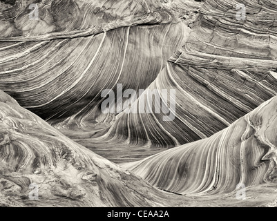 Sandtone formation in North Coyote Buttes, The Wave. Paria Canyon Vermillion Cliffs Wilderness. Utah/Arizona Stock Photo