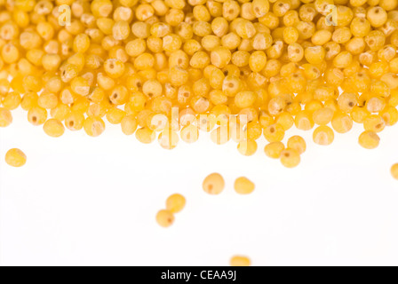Uncooked millet seeds isolated on white background Stock Photo