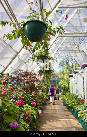 Glasshouse in the Ballarat Botanical Gardens. Stock Photo