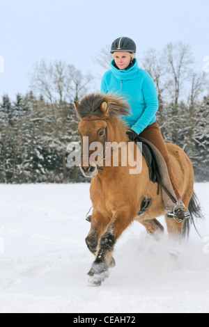 Young rider on Icelandic horse galloping in snow Stock Photo