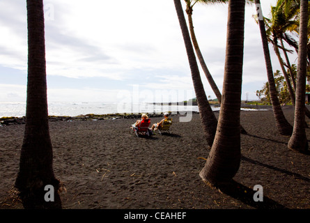 Black sand beach, Punalu'u Beach Park, a protected habitat for green sea turtles, south coast Big Island, Hawaii Stock Photo