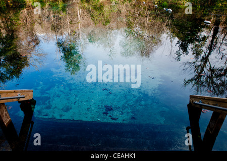 Blue Hole - Ichetucknee Springs State Park, Florida, North America, USA Stock Photo