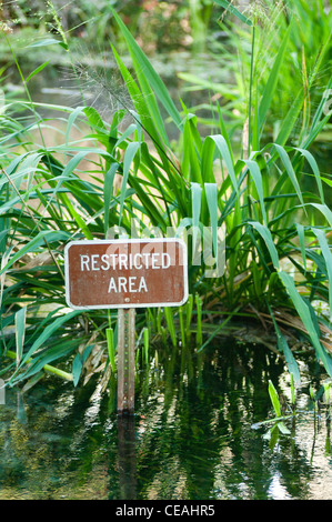 Restricted area sign in water, Ichetucknee Springs State Park, Florida, North America, USA Stock Photo