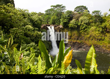 The Wailuku River plunges nearly 80 feet over Rainbow Falls, Rainbow Falls State Park, Hilo, Big Island, Hawaii Stock Photo