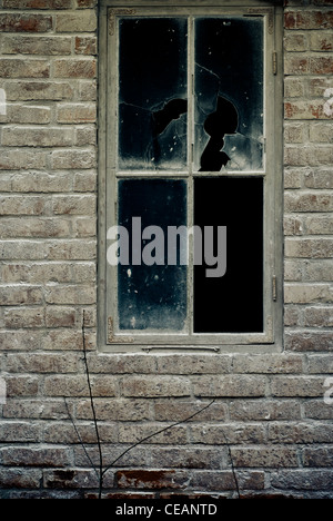 Broken window and a growing plant Stock Photo