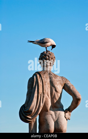 Seagull examining head of statue Stock Photo