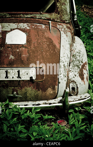 Discarded car in nature Stock Photo