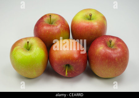 Five red and green Braeburn apples in a group Stock Photo