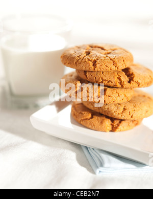 Ginger snap cookies (biscuits) served with a glass of milk on white table-ware. Stock Photo