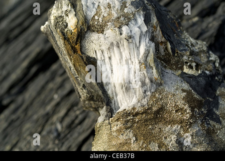 Mineral seams in stone Stock Photo