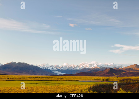 Moose feeding in pond at sunset in the Maclaren River Valley with the Maclaren Glacier and the eastern Alaska Range in Alaska. Stock Photo