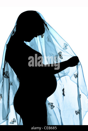 Blue silhouette of a backlit pregnant woman with a lace butterfly scarf Stock Photo