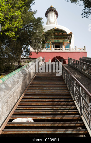 Cat on the stairs to The White Pagoda, Beihai Park, Xicheng District, Beijing, China, Asia. Stock Photo