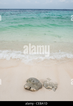 Beautiful beach Stock Photo