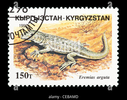 Postage stamp from Kazakhstan depicting a small lizard (Eremias arguta) Stock Photo