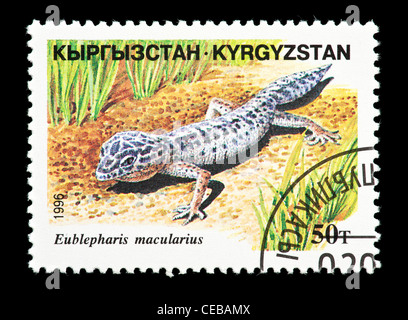 Postage stamp from Kazakhstan depicting a small lizard  (Eublepharis macularius) Stock Photo